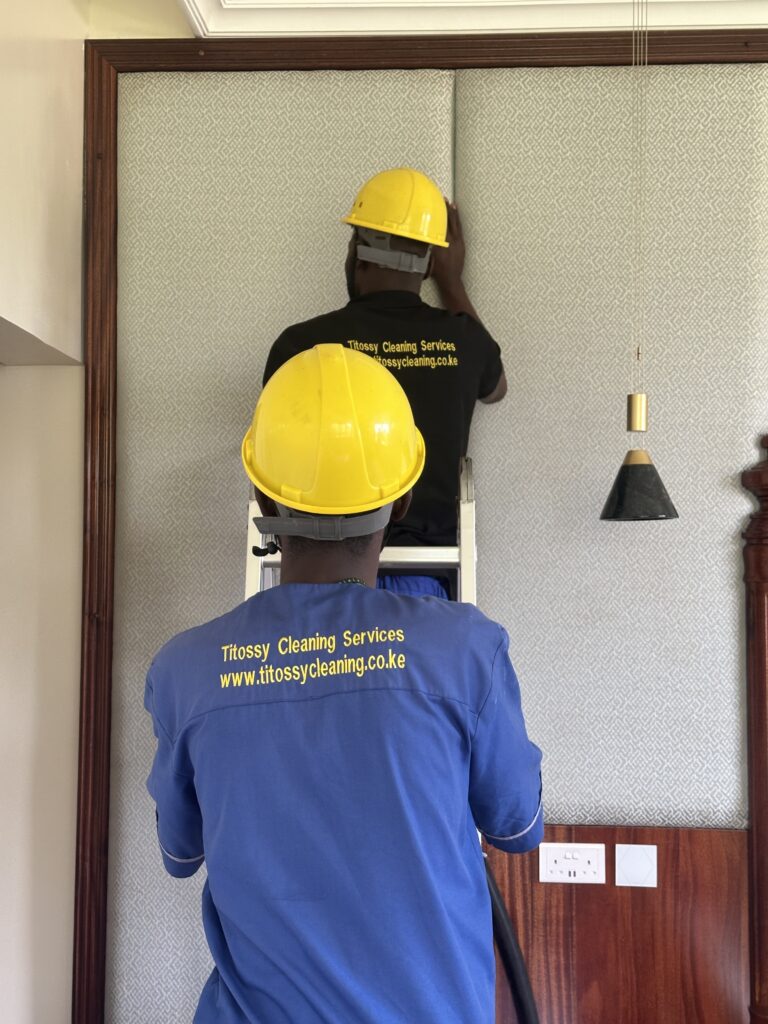 Carpet cleaning services
