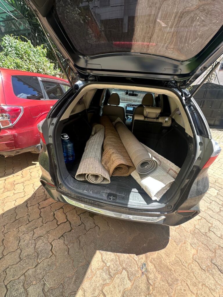 Carpet cleaning services