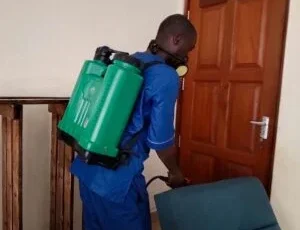 fumigation services